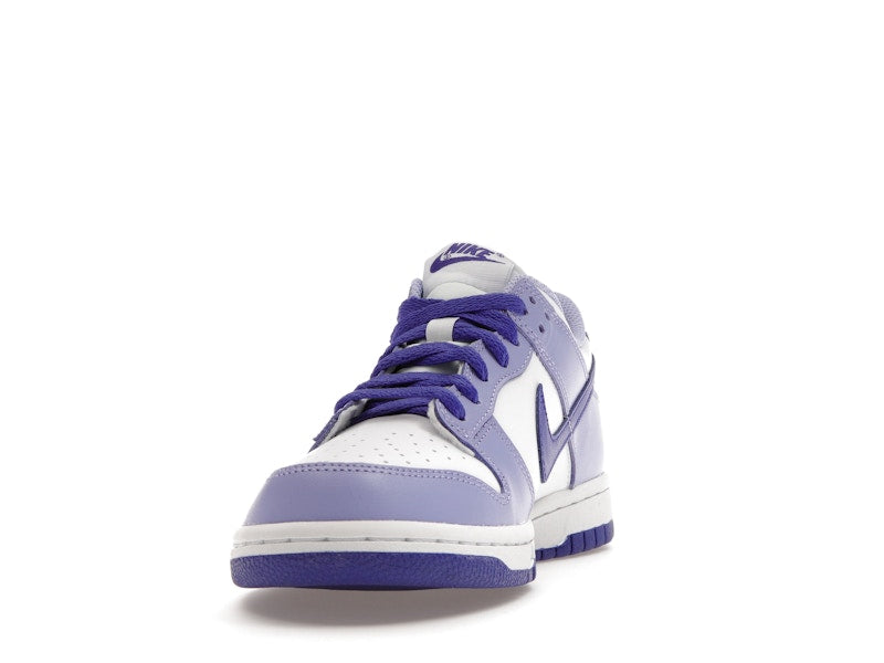 Nike Dunk Low Blueberry (GS)