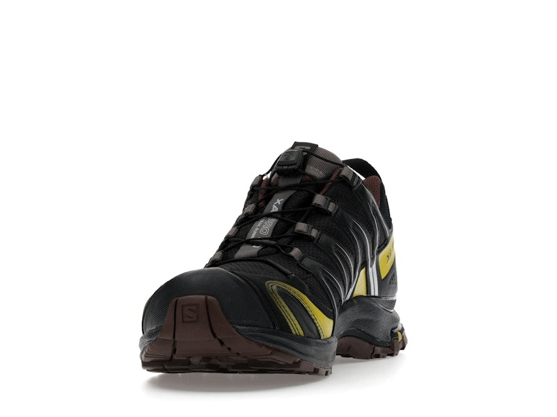 Salomon XA Pro 3D Gore-Tex Cress Green French Roast