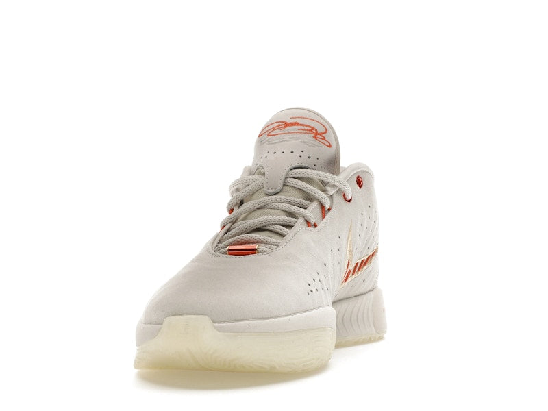 Nike LeBron 21 Akoya