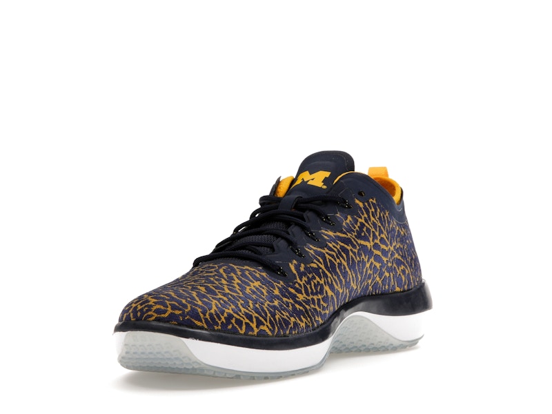 Jordan Trainer 1 Low Michigan