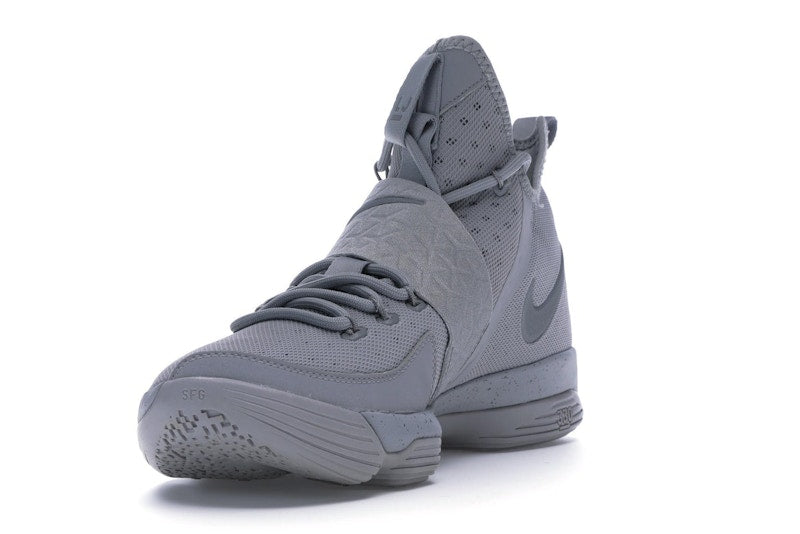 Nike LeBron 14 Silver
