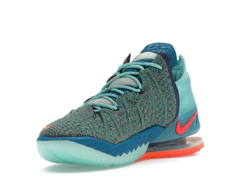 Nike LeBron 18 We Are Family