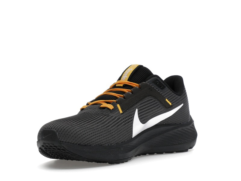 Nike Pegasus 40 Pittsburgh Steelers