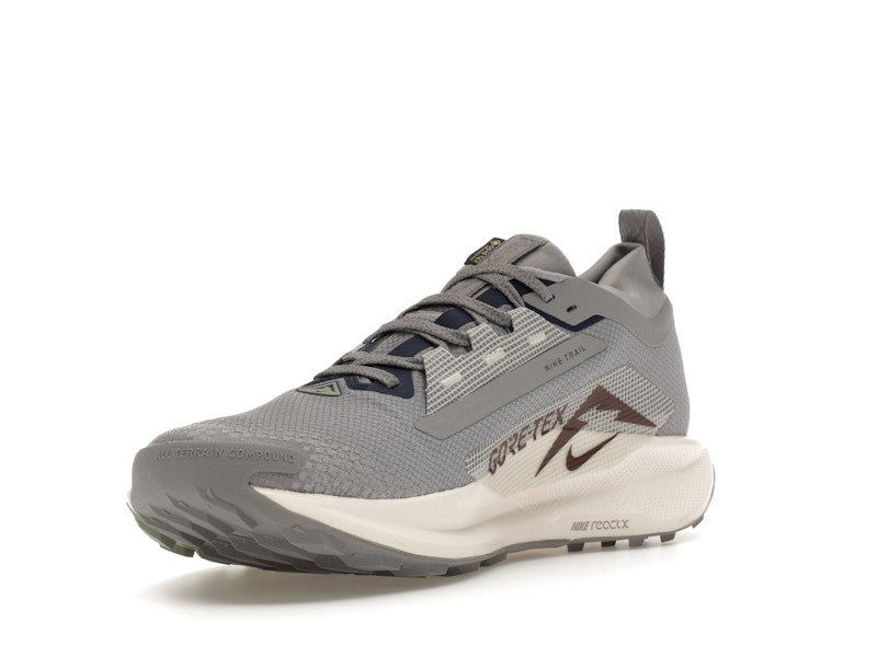 Nike React Pegasus Trail 5 Gore-Tex Cement Grey Jade Horizon Burgundy Crush Midnight Navy