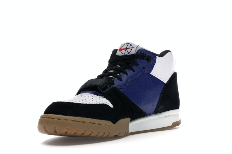 Nike SB Air Trainer 1 Polar Skate Co