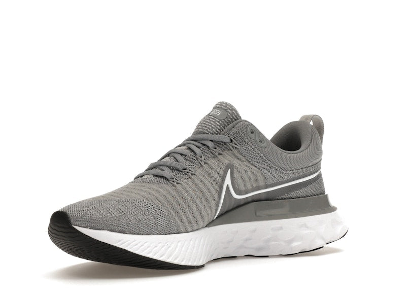 Nike React Infinity Run Flyknit 2 Particle Grey (Women's)