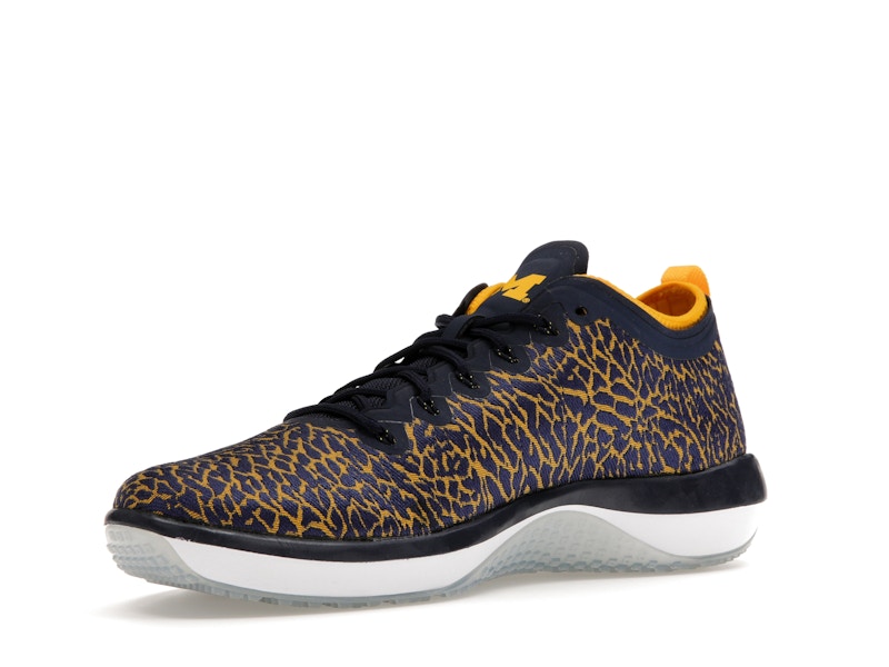 Jordan Trainer 1 Low Michigan