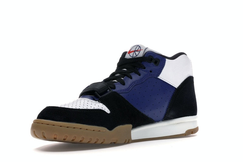 Nike SB Air Trainer 1 Polar Skate Co