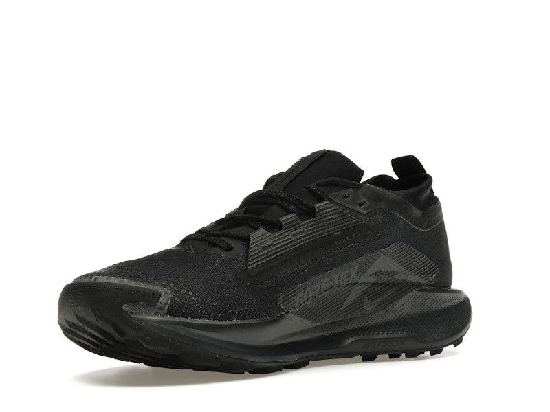 Nike React Pegasus Trail 5 Gore-Tex Black Anthracite