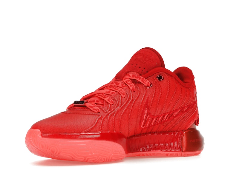 Nike LeBron 21 James Gang