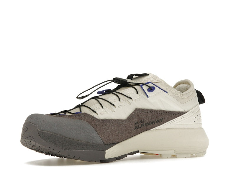 Salomon Alpinway Advanced Almond Milk Plum Kitten