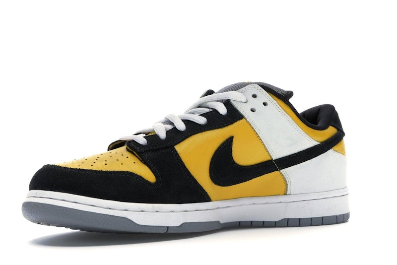 Nike SB Dunk Low Bic