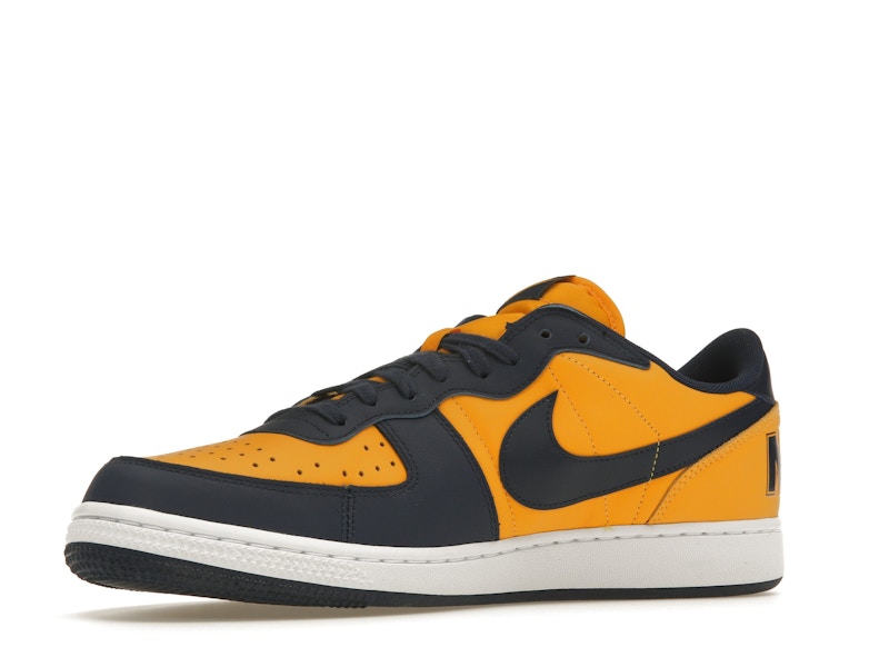 Nike Terminator Low Michigan