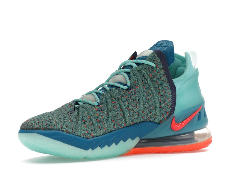 Nike LeBron 18 We Are Family