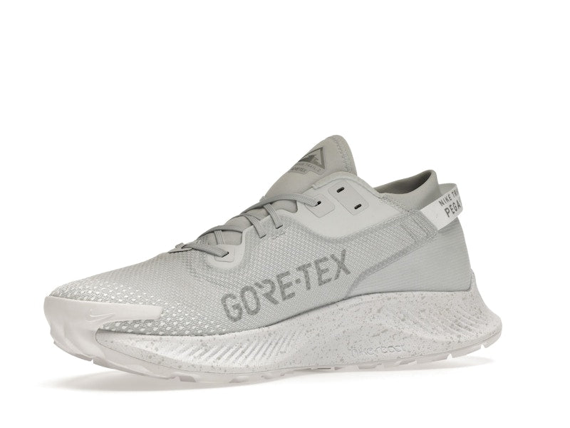 Nike Pegasus Trail 2 Gore-Tex Pure Platinum