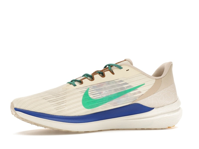 Nike Winflo 9 Premium Nike Moving Company