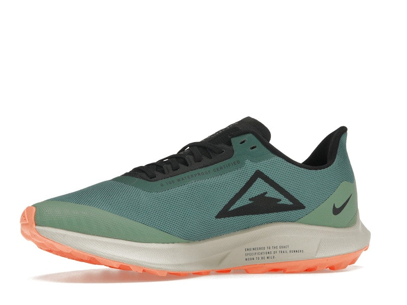 Nike Zoom Pegasus 36 Trail Gore-Tex Bicoastal (Women's)