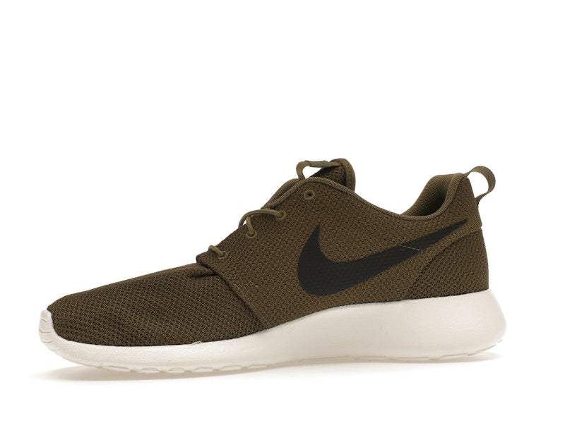 Nike Roshe Run Iguana