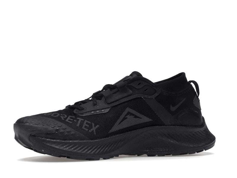 Nike Pegasus Trail 3 Gore-Tex Black Dark Smoke Grey