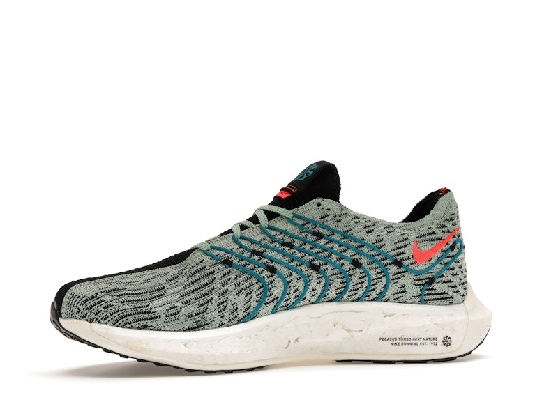 Nike Pegasus Turbo Next Nature 5 Borough Tour