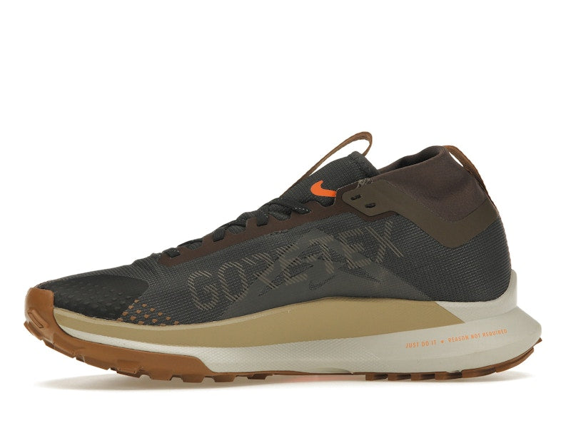 Nike Pegasus Trail 4 Gore-Tex Anthracite Ironstone