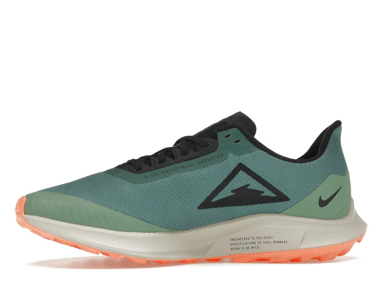 Nike Zoom Pegasus 36 Trail Gore-Tex Bicoastal (Women's)