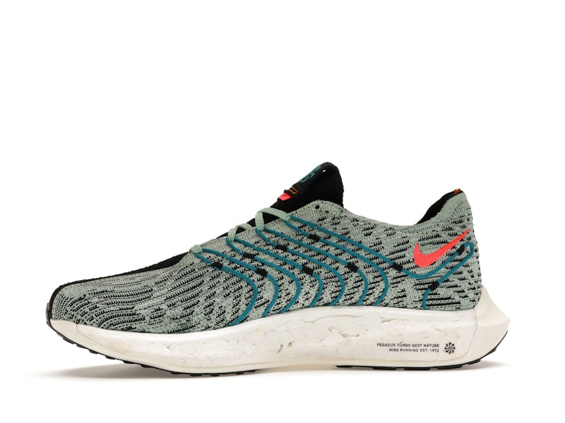 Nike Pegasus Turbo Next Nature 5 Borough Tour