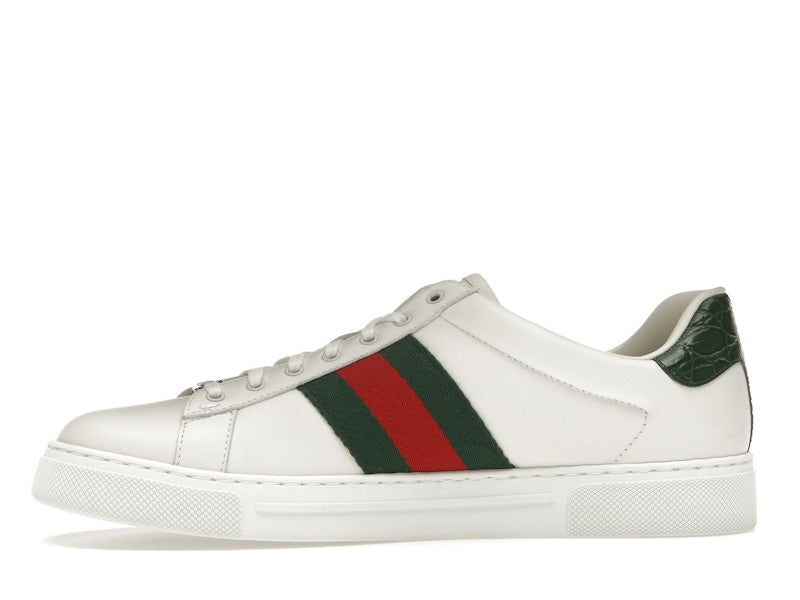 Gucci Ace Web White Green Red