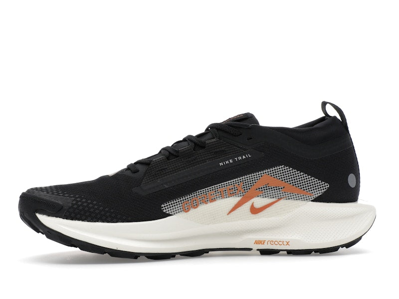 Nike Pegasus Trail 5 Gore-Tex Off Noir Black Monarch Pale Ivory