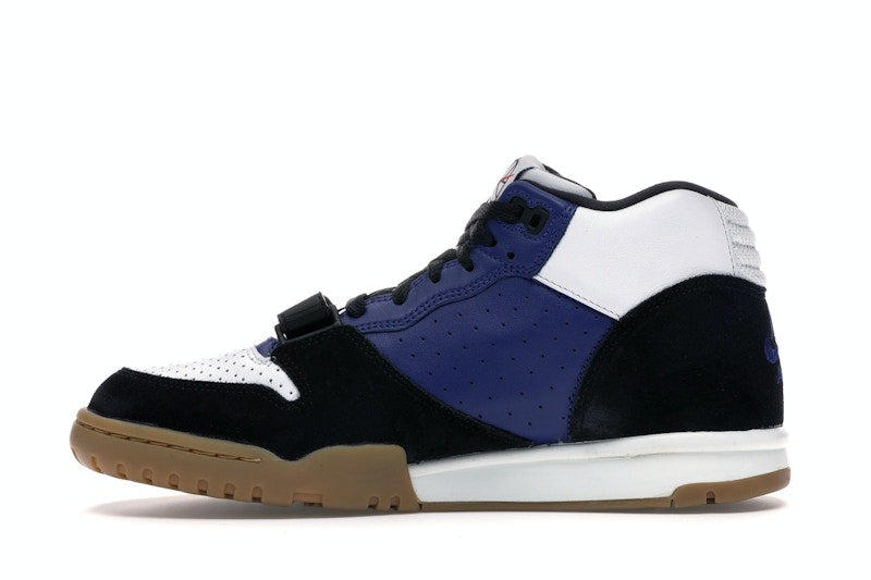 Nike SB Air Trainer 1 Polar Skate Co