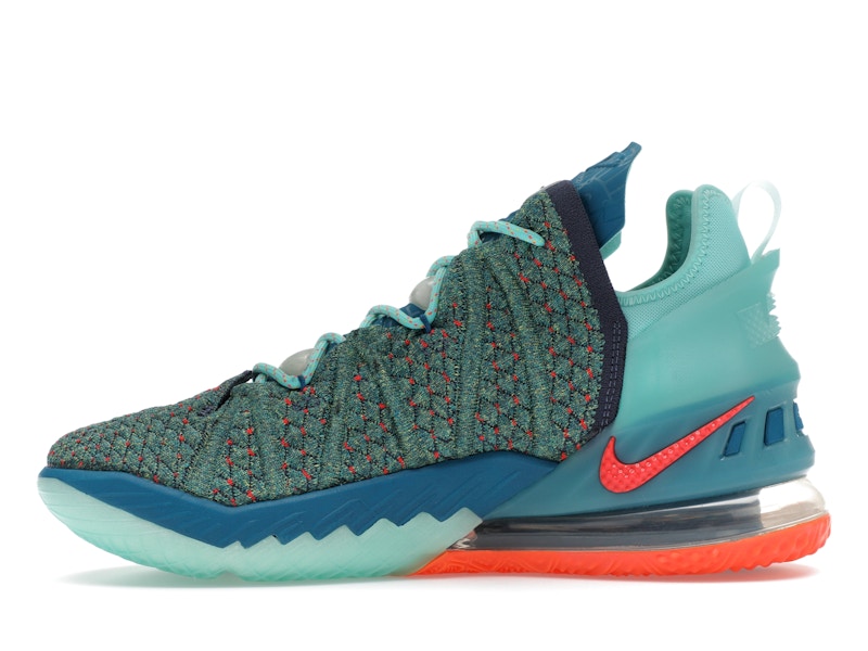 Nike LeBron 18 We Are Family