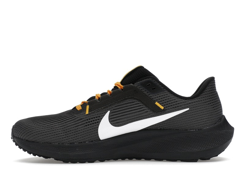 Nike Pegasus 40 Pittsburgh Steelers