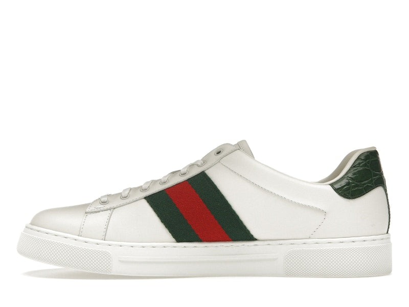 Gucci Ace Web White Green Red