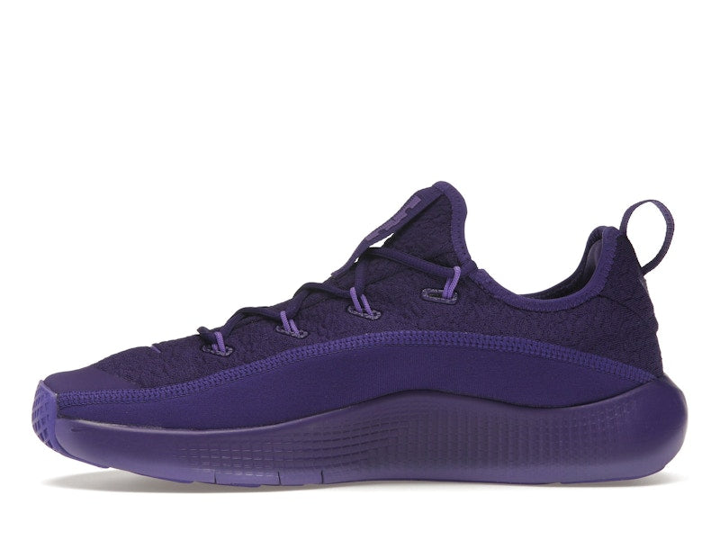 Nike LeBron TR 1 Purple Rain
