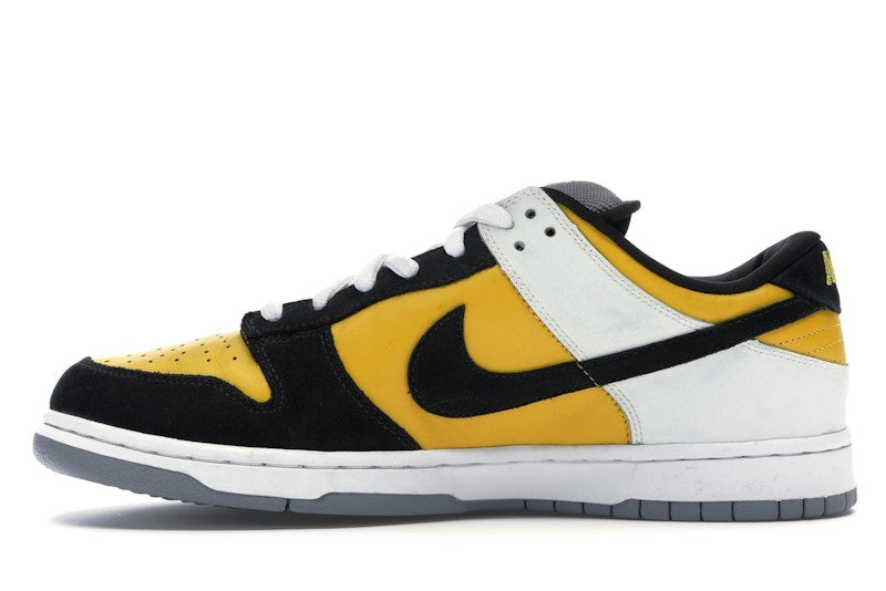 Nike SB Dunk Low Bic