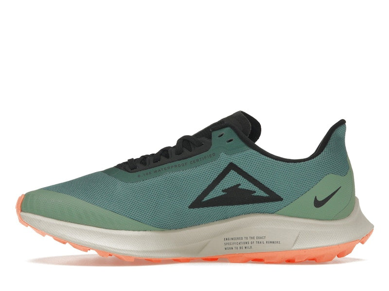 Nike Zoom Pegasus 36 Trail Gore-Tex Bicoastal (Women's)