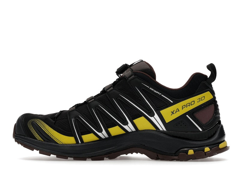 Salomon XA Pro 3D Gore-Tex Cress Green French Roast