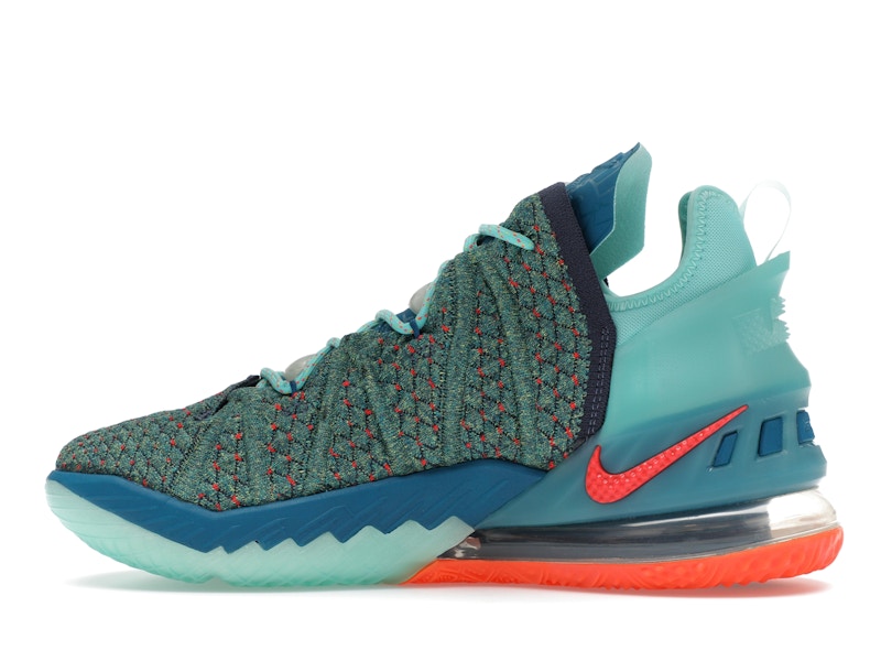 Nike LeBron 18 We Are Family