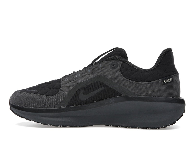 Nike Winflo 11 Gore-Tex Black Anthracite