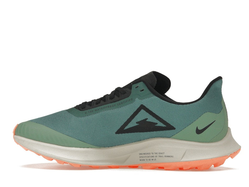 Nike Zoom Pegasus 36 Trail Gore-Tex Bicoastal (Women's)