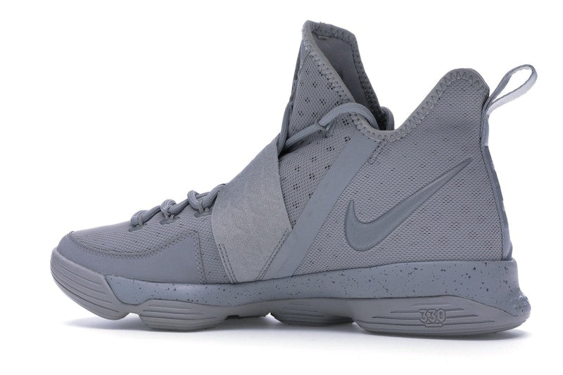 Nike LeBron 14 Silver
