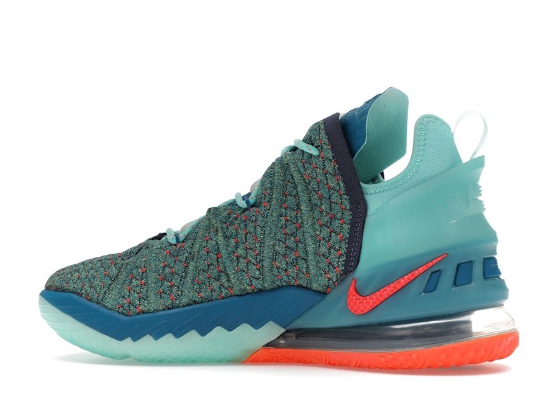 Nike LeBron 18 We Are Family