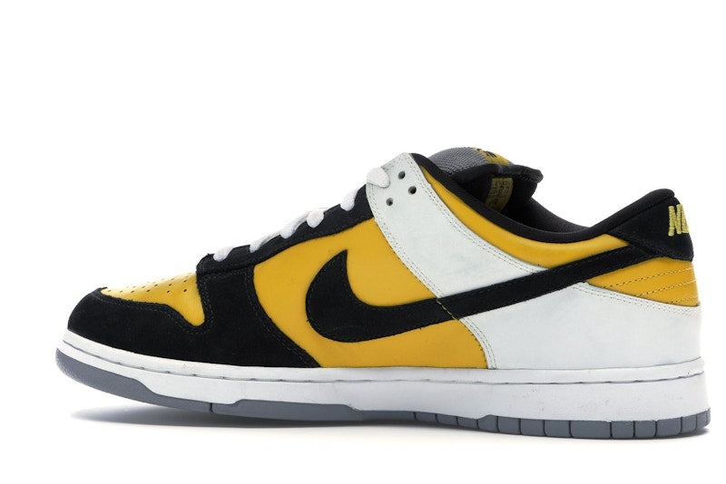 Nike SB Dunk Low Bic