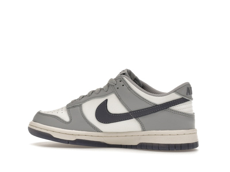 Nike Dunk Low Platinum Tint Light Carbon (GS)