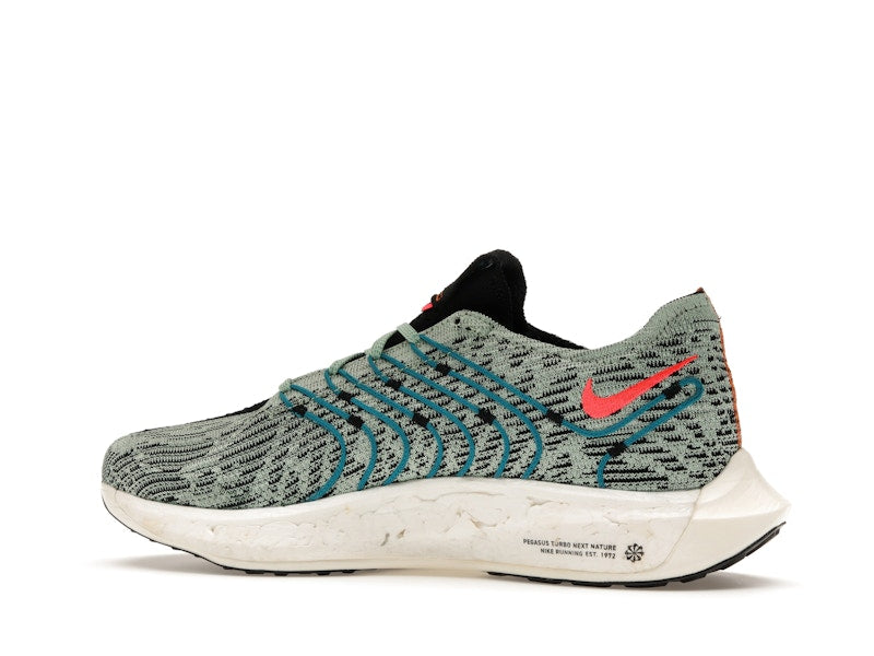 Nike Pegasus Turbo Next Nature 5 Borough Tour