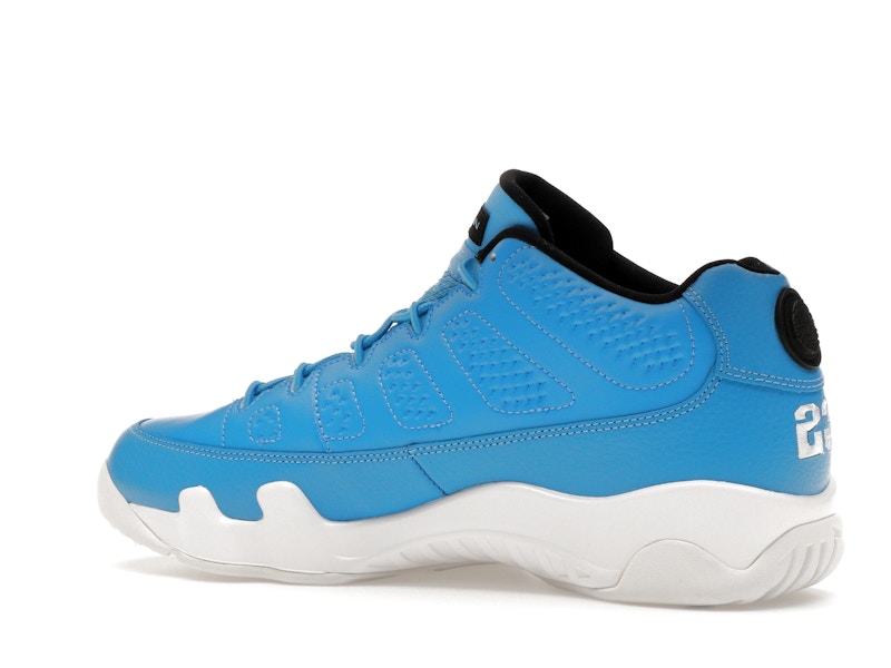 Jordan 9 Retro Low Pantone