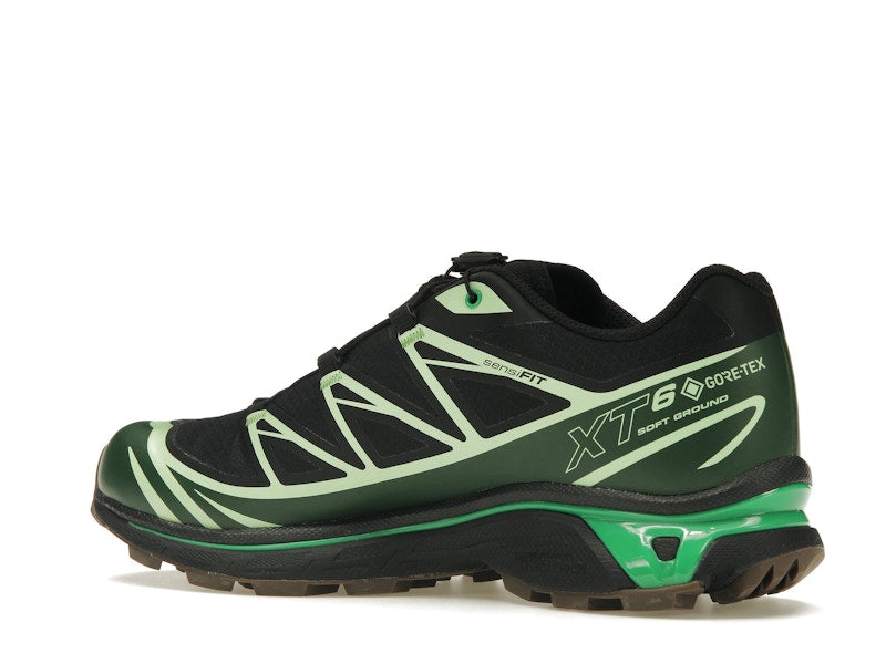 Salomon Advanced XT-6 Gore-Tex Eden Green Ash