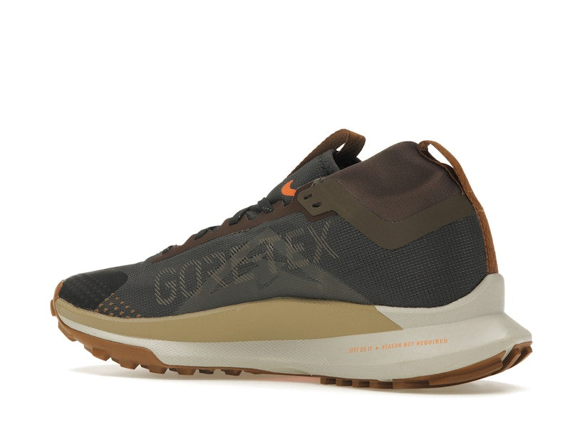 Nike Pegasus Trail 4 Gore-Tex Anthracite Ironstone