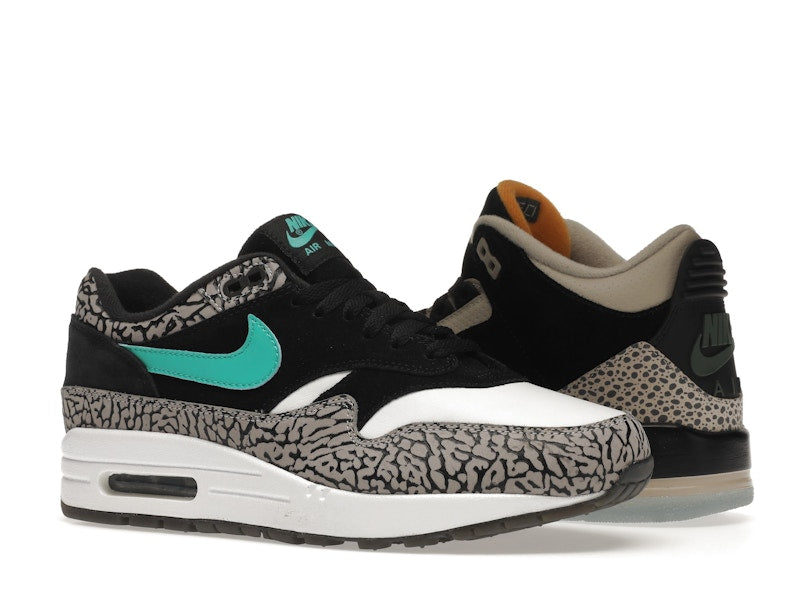 Jordan 3 Retro & Nike Air Max 1 atmos Pack