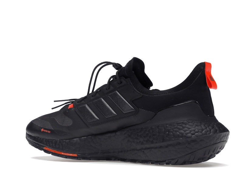 adidas Ultra Boost 21 Gore-Tex Carbon